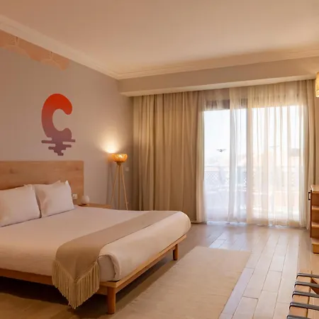 Calimera Blend Paradise-3